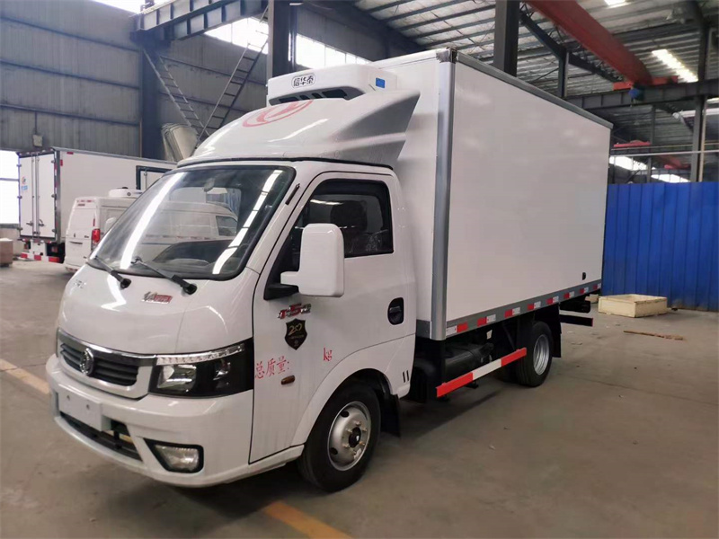 國六東風(fēng)途逸汽油冷藏車